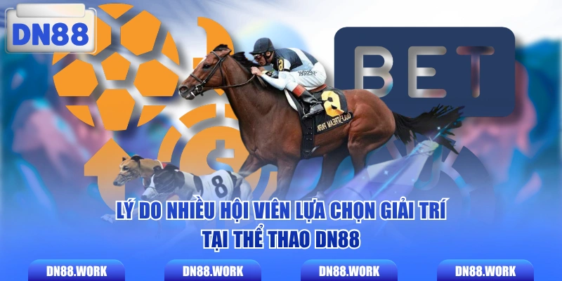 Lý do nhiều hội viên lựa chọn giải trí tại thể thao DN88 